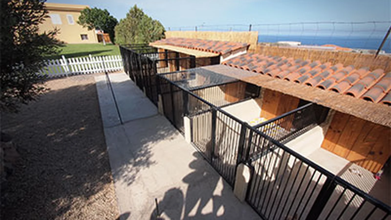 Instalaciones de Centro Canino Golden House