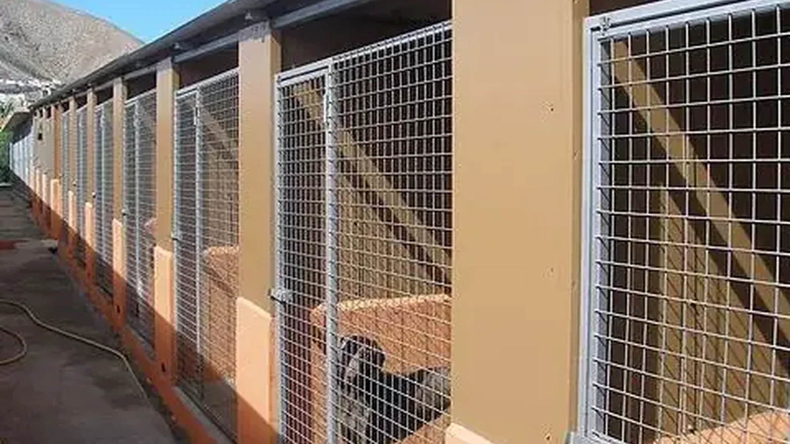 Instalaciones de Residencia Canina Tarazona