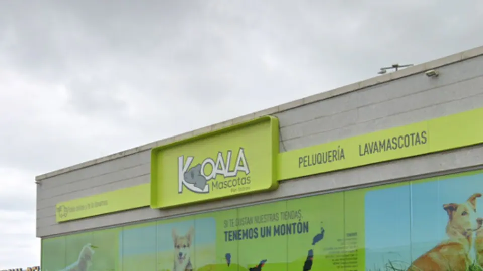Imagen procedente de la fuente de Koala Orotava