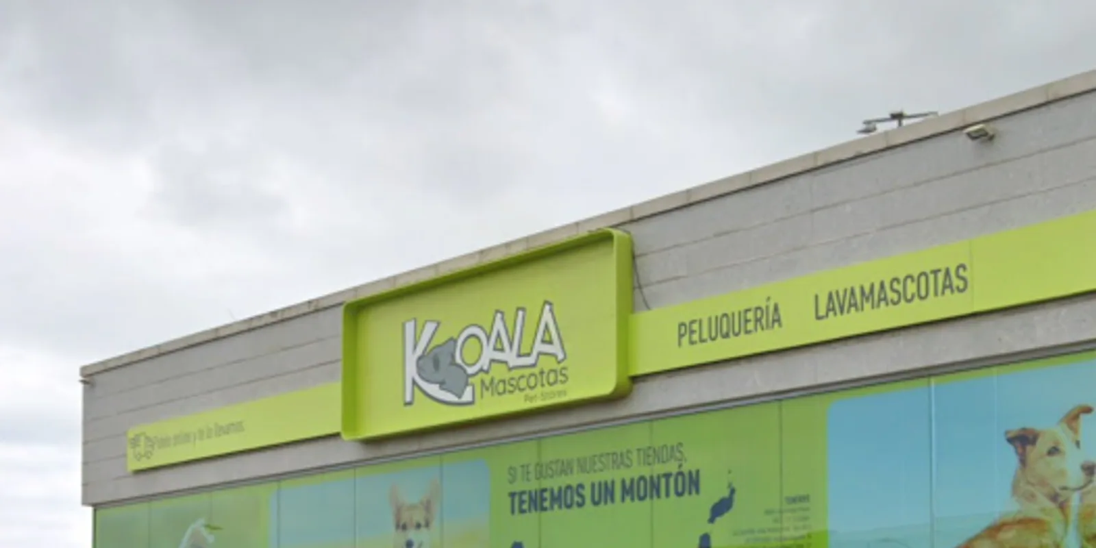 Imagen procedente de la fuente de Koala Orotava