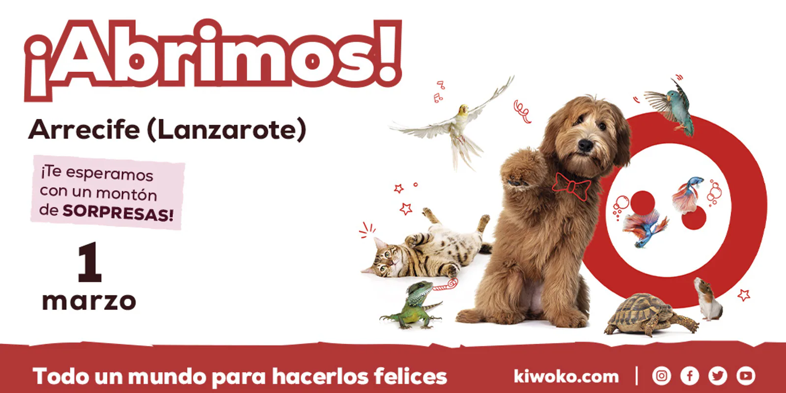 Imagen procedente de la fuente de Kiwoko Lanzarote Arrecife