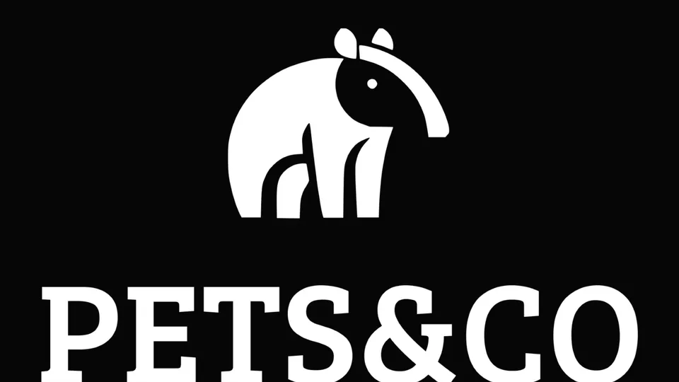 Imagen procedente de la fuente de Pets & Co Costa Teguise