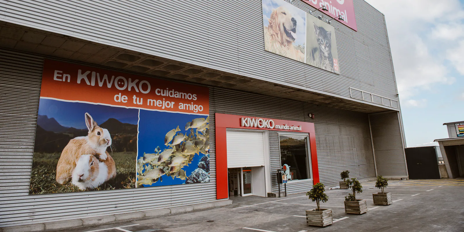 Imagen procedente de la fuente de Kiwoko Tenerife La Laguna