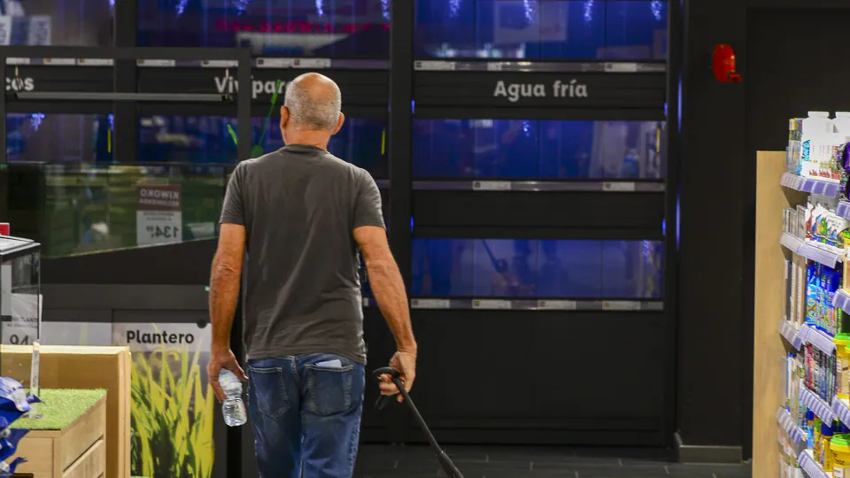 Imagen procedente de la fuente de Kiwoko Las Palmas República Dominicana