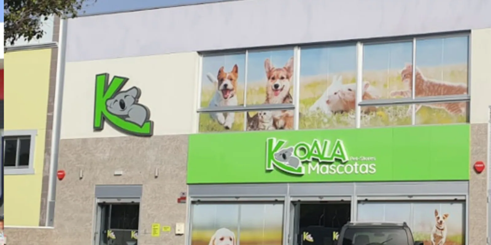 Imagen procedente de la fuente de Koala Chafiras