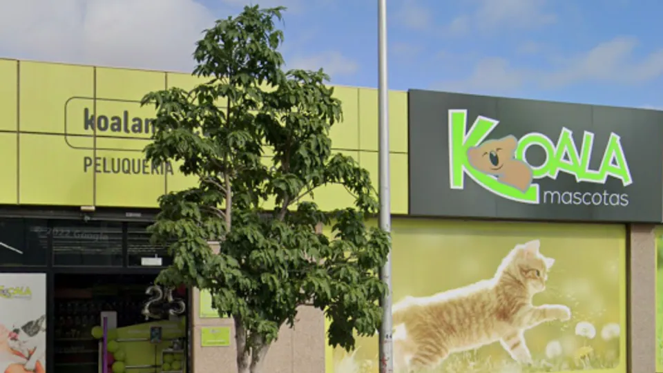 Imagen procedente de la fuente de Koala Añaza