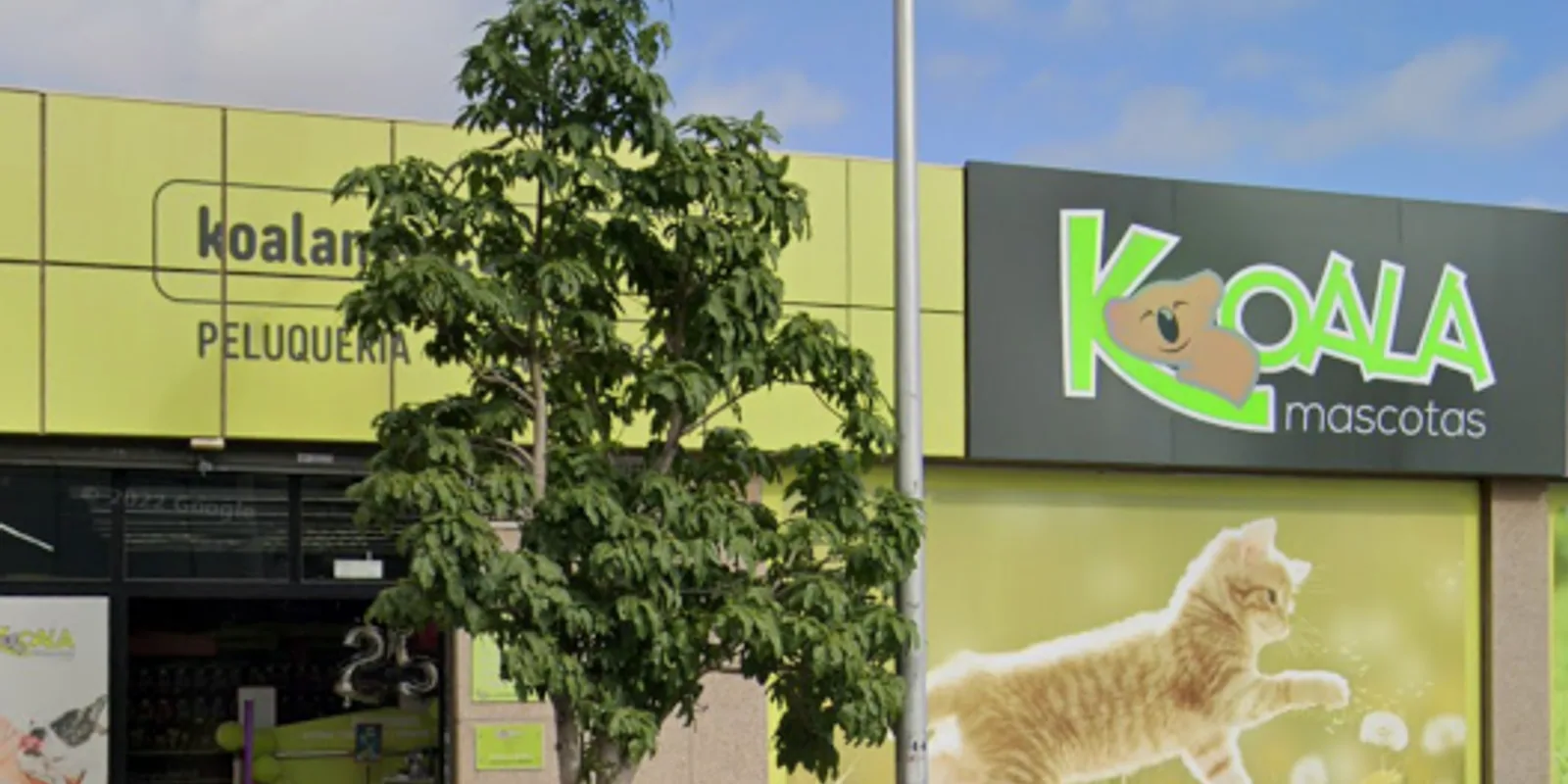 Imagen procedente de la fuente de Koala Añaza