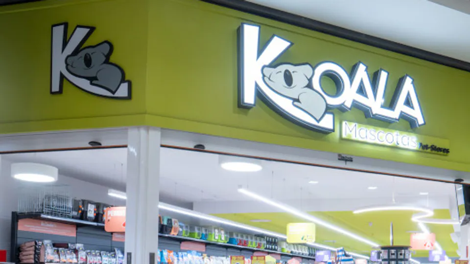 Imagen procedente de la fuente de Koala La Ballena