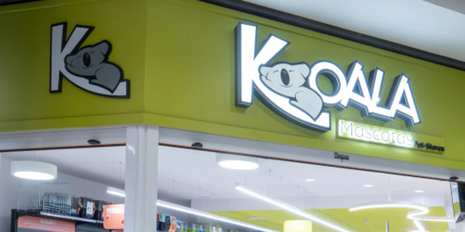 Imagen procedente de la fuente de Koala La Ballena