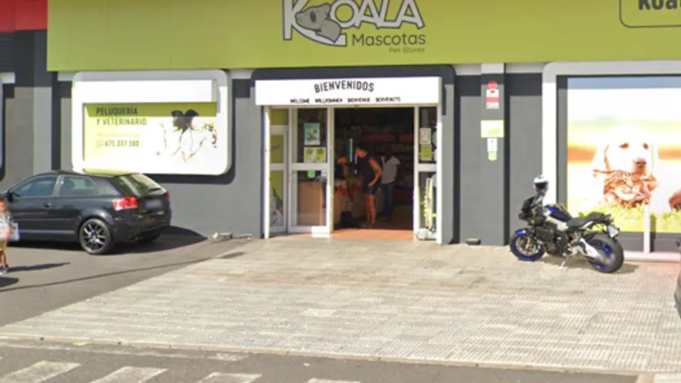 Imagen procedente de la fuente de Koala Cristianos