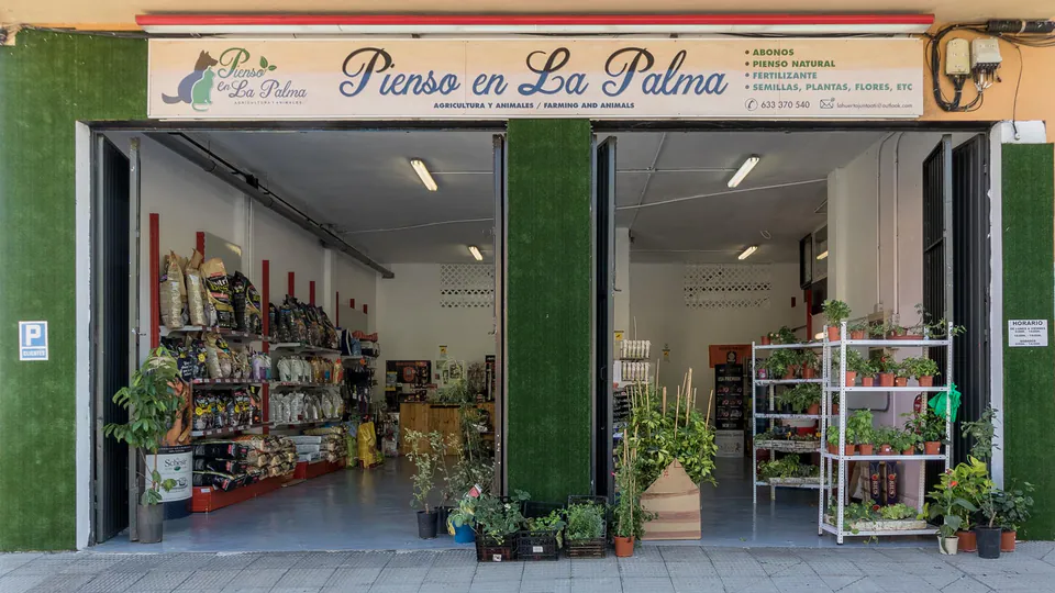 Imagen procedente de la fuente de PIENSO EN LA PALMA