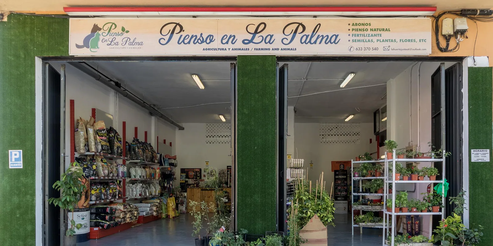 Imagen procedente de la fuente de PIENSO EN LA PALMA
