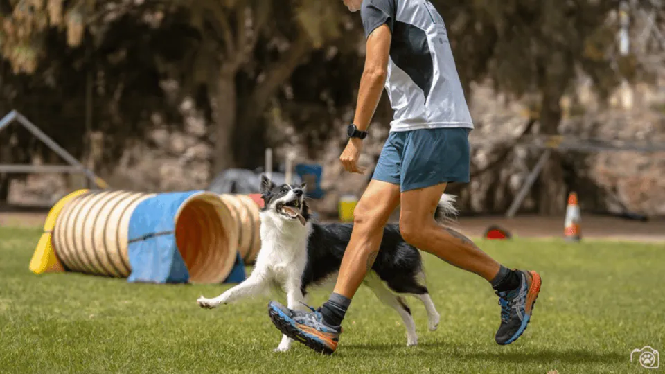 Imagen procedente de la fuente de Club Deportivo Lomo Salas