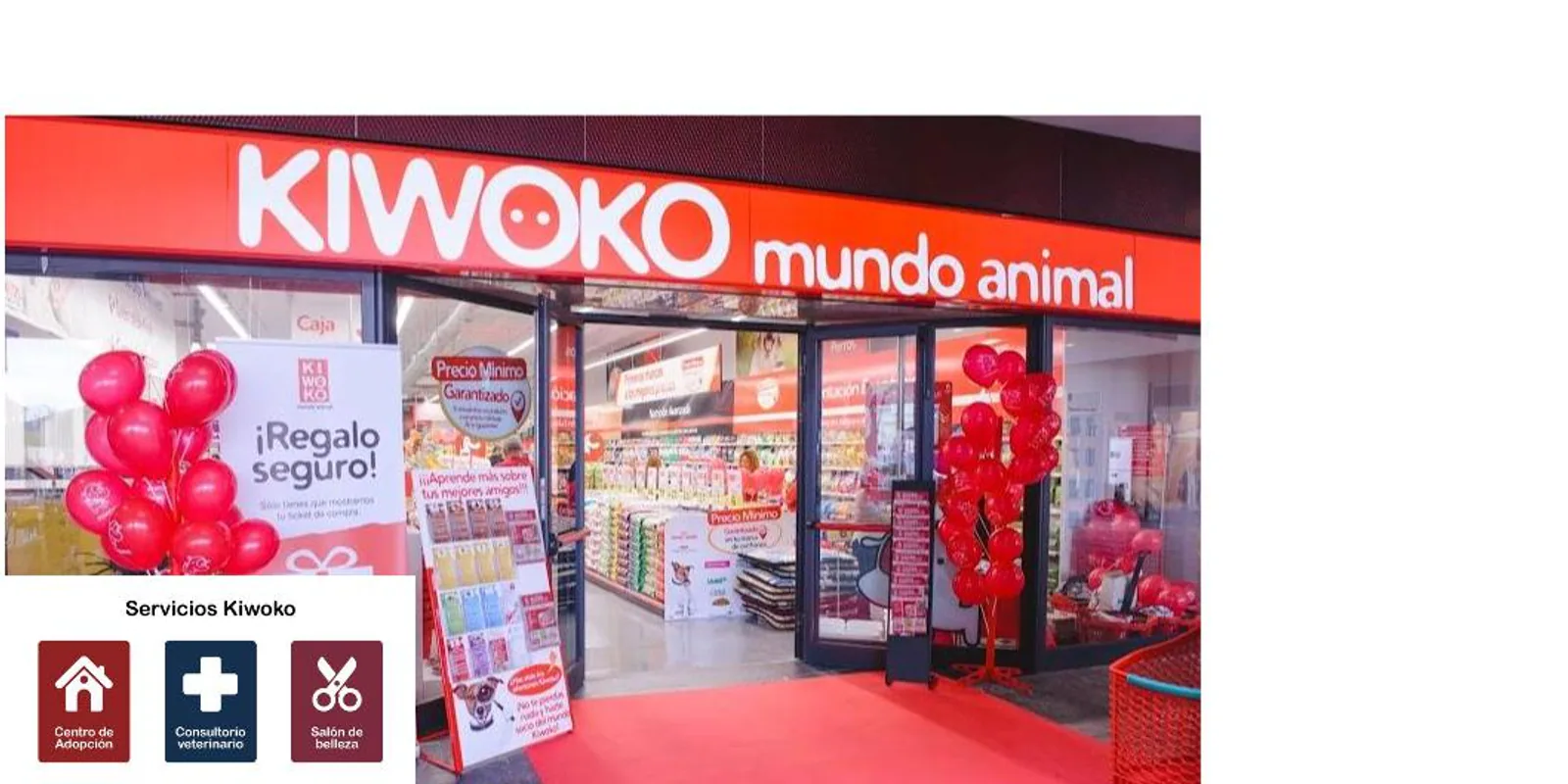 Imagen procedente de la fuente de Kiwoko Tenerife El Trompo
