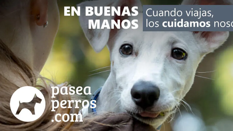 Imagen de marca de PaseaPerros.com · Tenerife