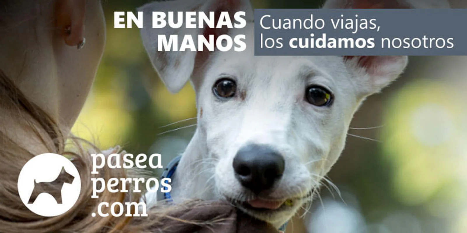 Imagen de marca de PaseaPerros.com · Las Palmas