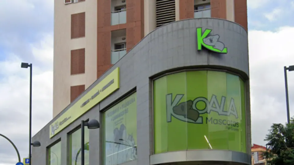 Imagen procedente de la fuente de Koala 3 Mayo