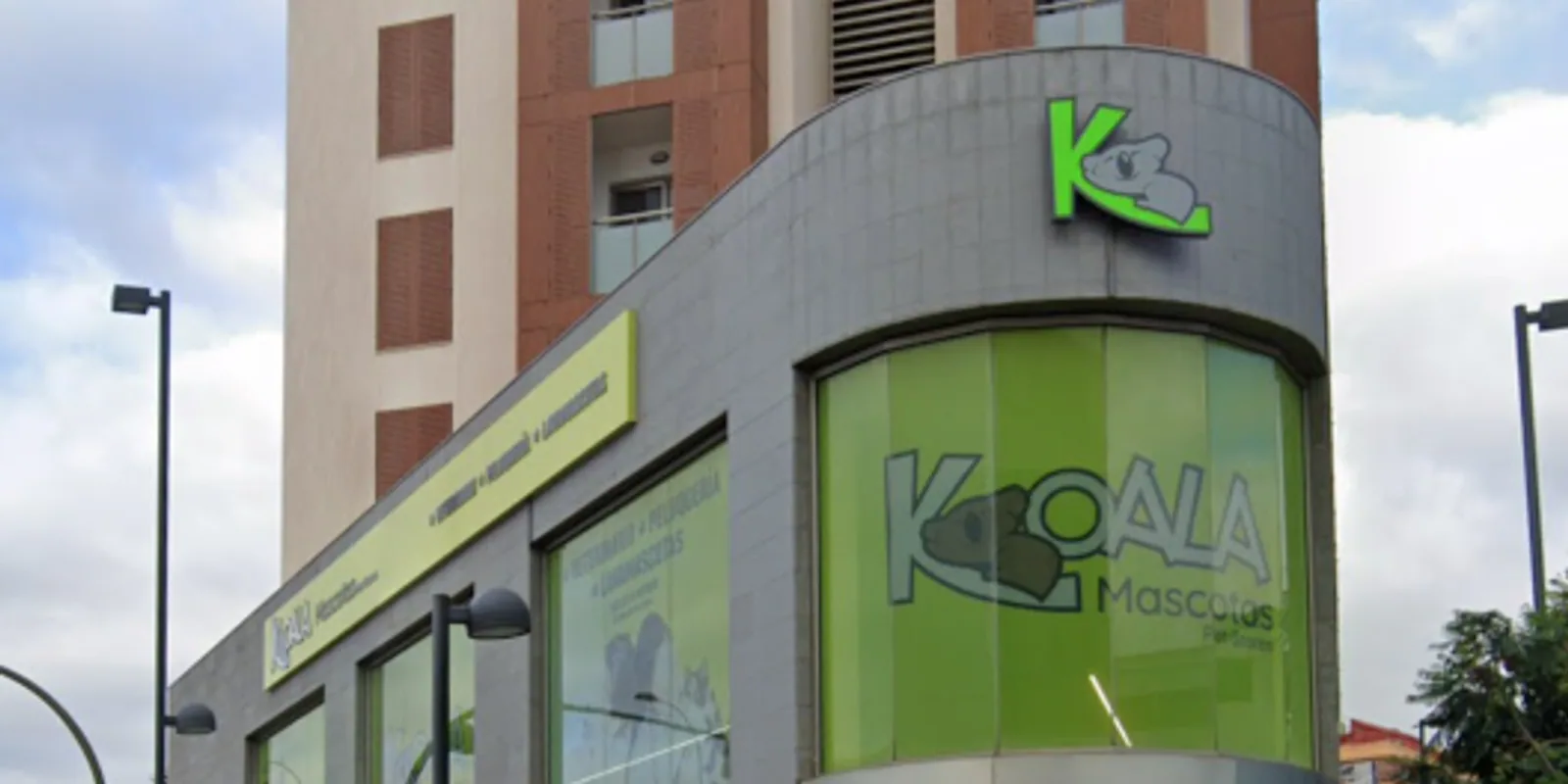 Imagen procedente de la fuente de Koala 3 Mayo